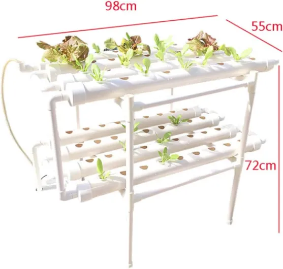 51MsGsycEgL._AC_SL1000_