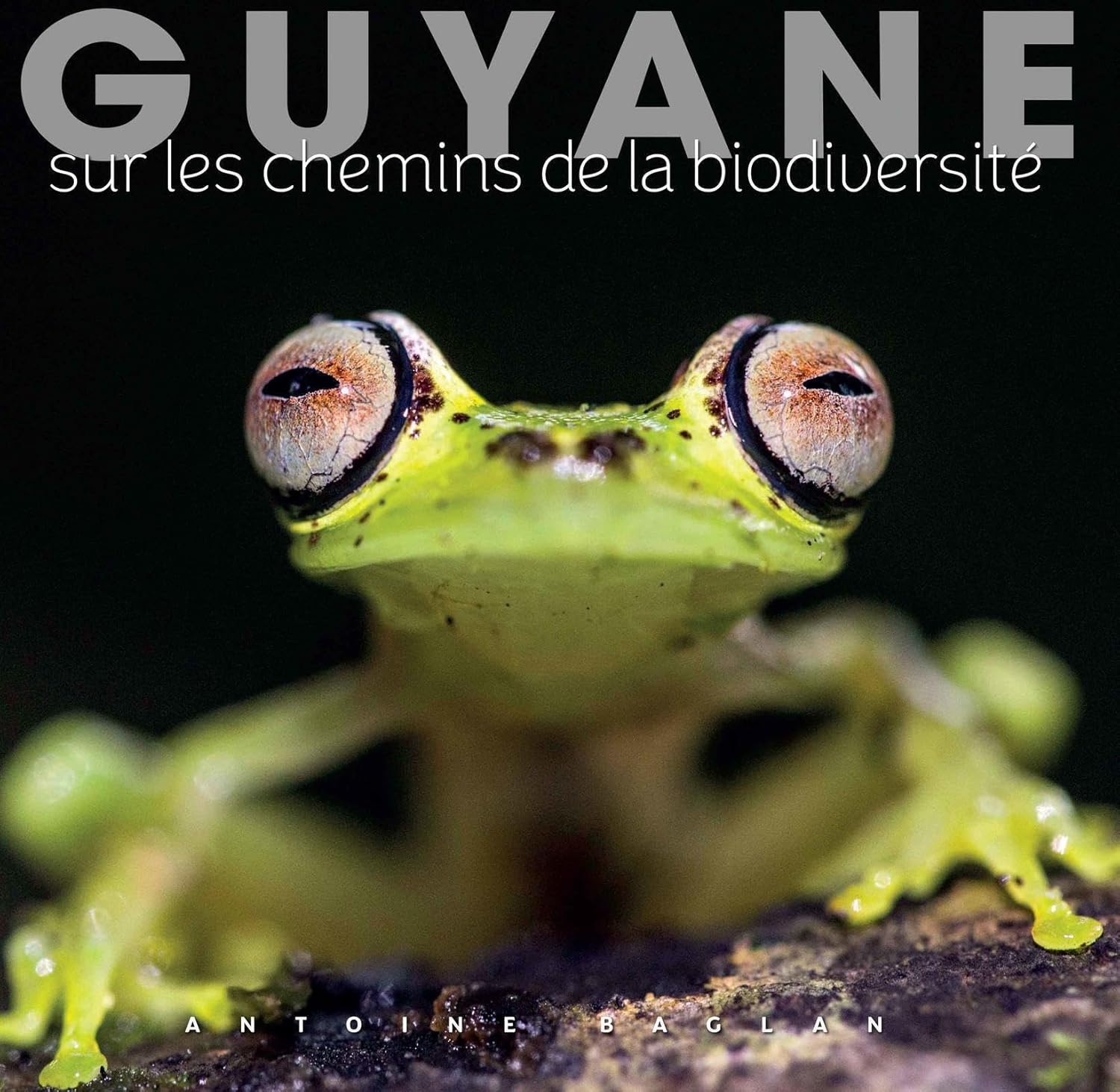 Guyane: Sur les chemins de la biodiversité