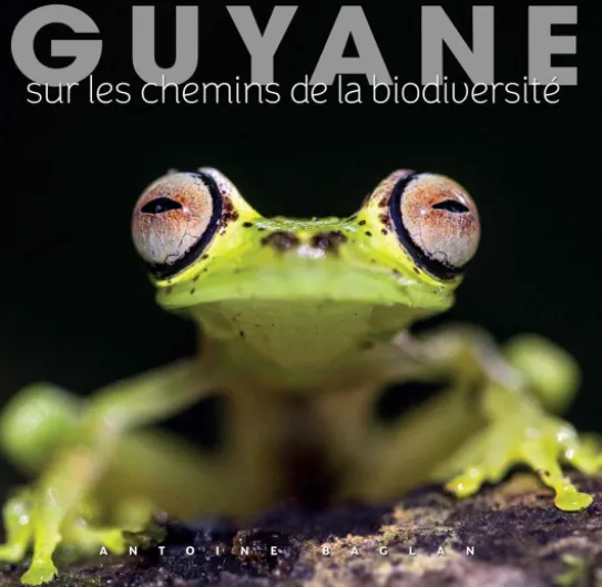 Guyane: Sur les chemins de la biodiversité