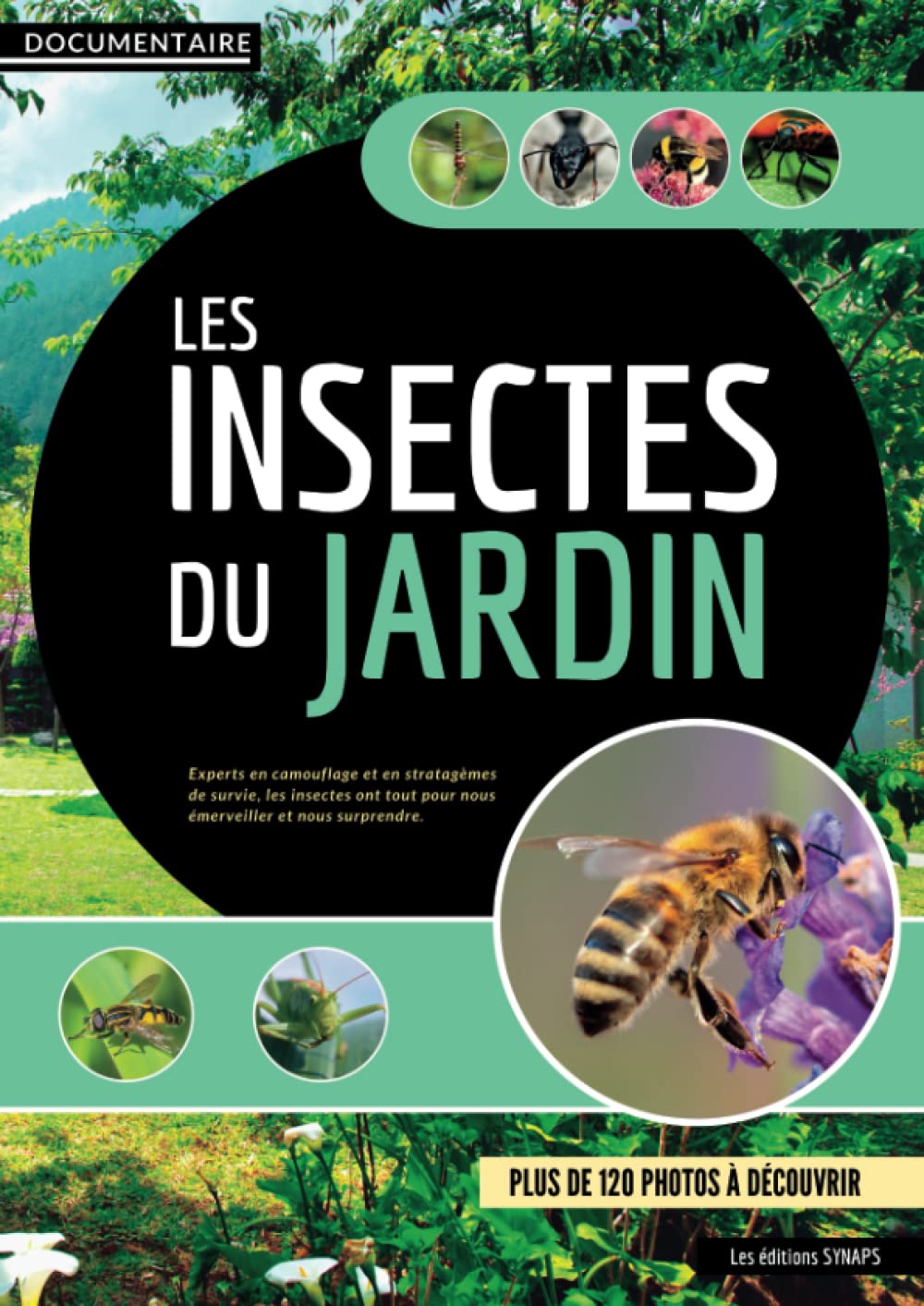 Documentaire - Les insectes du jardin: Mieux comprendre leur utilité, leur mode de vie et préserver la biodiversité - Un monde fascinant à découvrir