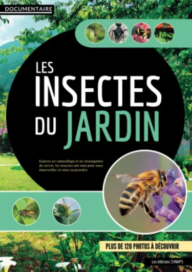 Documentaire - Les insectes du jardin: Mieux comprendre leur utilité, leur mode de vie et préserver la biodiversité - Un monde fascinant à découvrir
