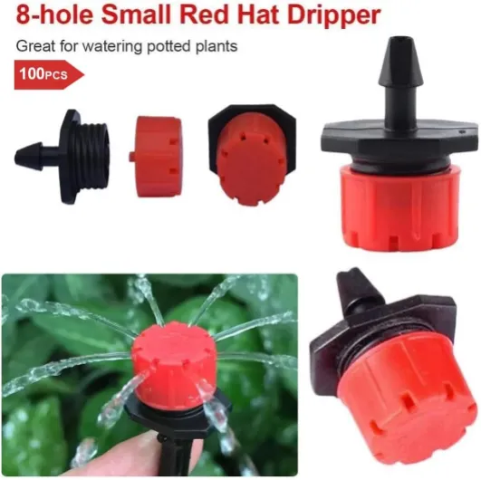 61DK8W4At6L._AC_SL1100_