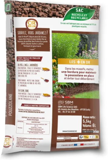 813IZhA7IbL._AC_SL1500_