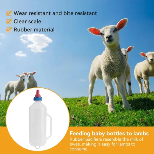 71UoQyJEplL._AC_SL1500_