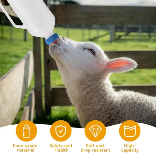 71INGffimwL._AC_SL1500_