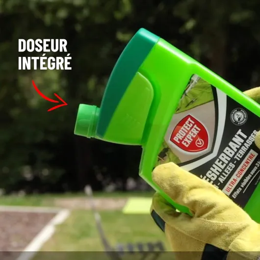 71dJPoVOEfL._AC_SL1500_