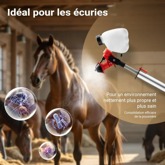 81x78pDoPCL._AC_SL1500_