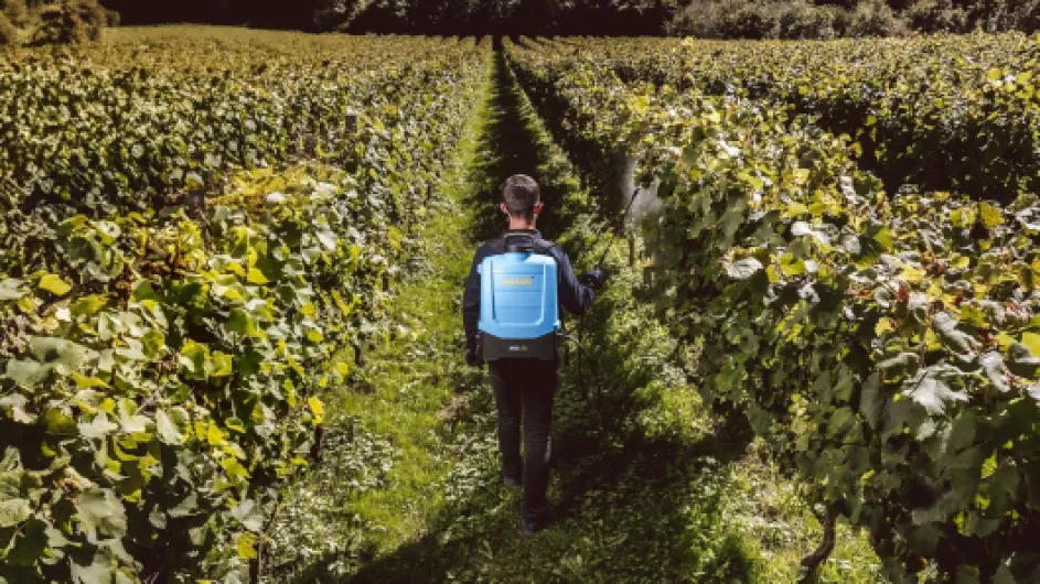 916rO-p PsL._AC_SL1500_