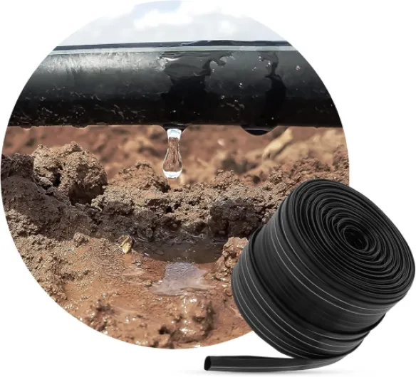 81dNjBbFnkL._AC_SL1500_