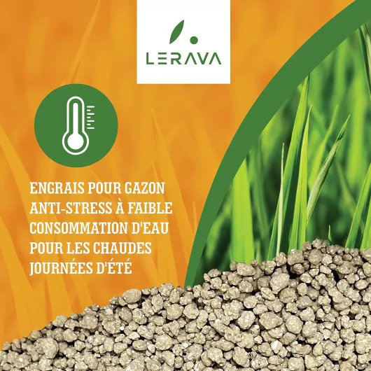 91EWvckK6 L._SL1500_