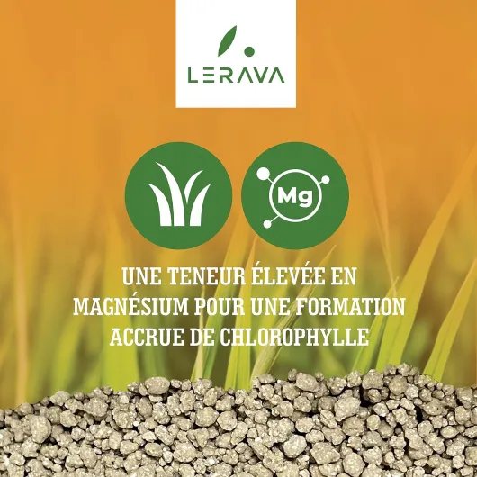 81QYWk8LURL._SL1500_