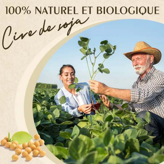 81IRTePnrxL._AC_SL1500_