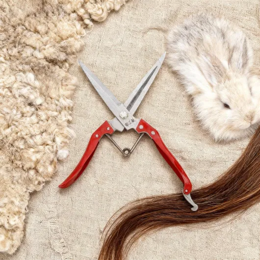 91MjVdiA4 L._AC_SL1500_