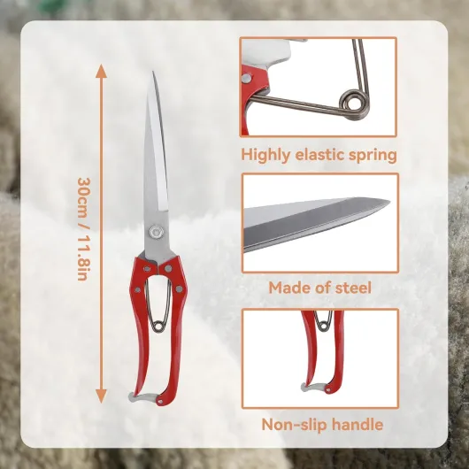 71MyAlpPckL._AC_SL1500_