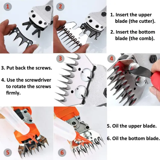 71oHTkev12L._AC_SL1191_