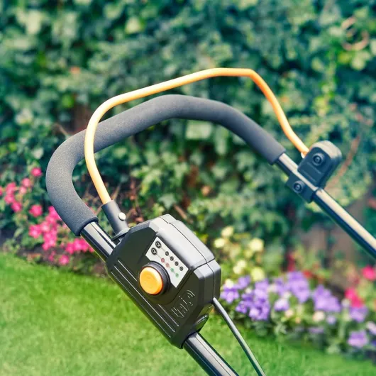 61zu0AHWLGL._AC_SL1004_