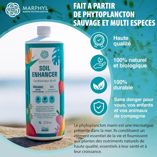 81ld6eAG GL._AC_SL1500_