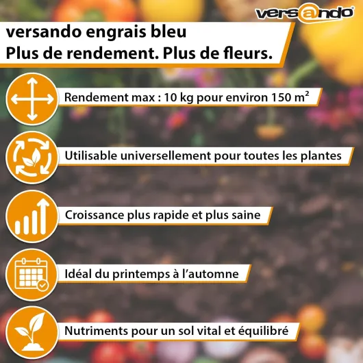 71UDyoBaEVL._SL1500_