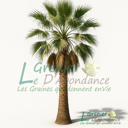 71LfnjrPXTL._AC_SL1080_