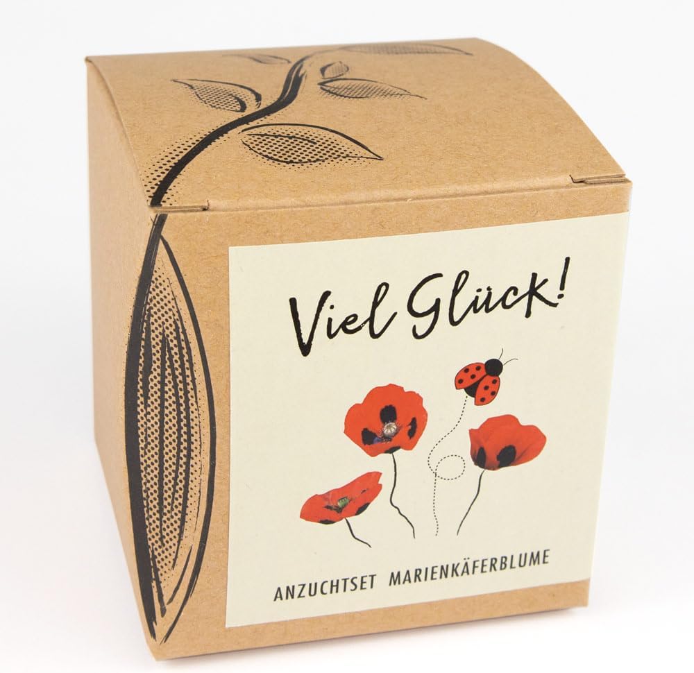 Kit de culture cadeau CŒUR-DE-MARIE avec graines de pavot de coccinelle, une idée cadeau porte-bonheur de NATUR KRAFTWERK