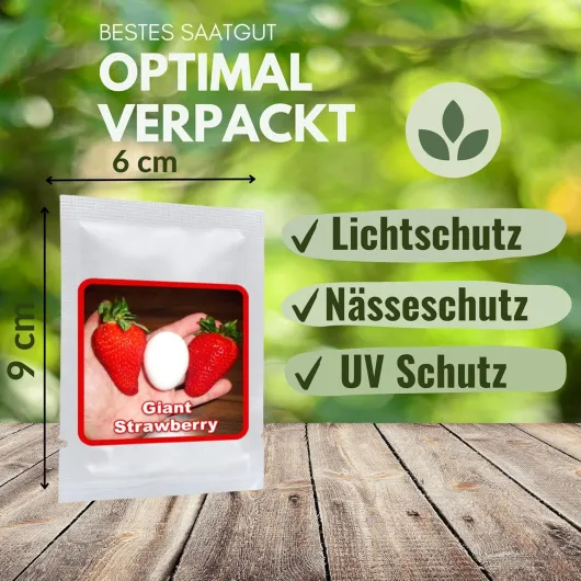 81bEVrmXpvL._AC_SL1500_