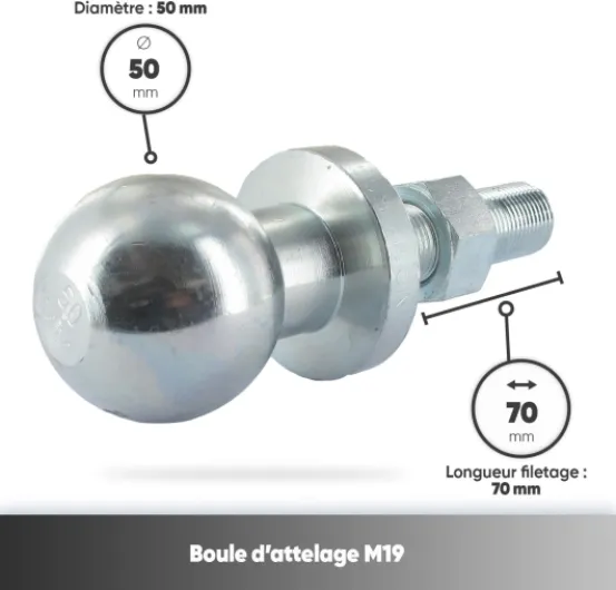 61IZJUWJJwL._AC_SL1500_