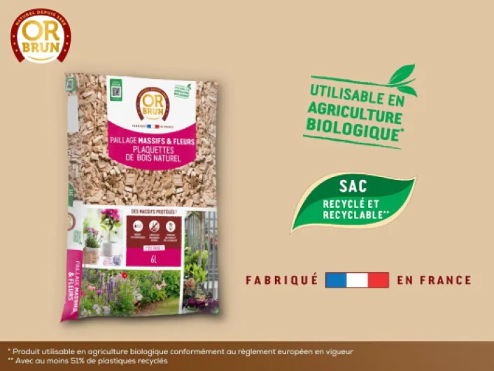 71Izzkua6pL._AC_SL1500_