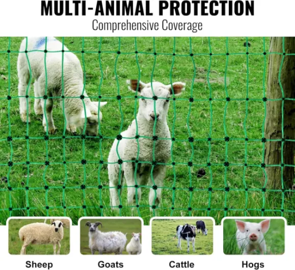 81IYX7hLGrL._AC_SL1500_