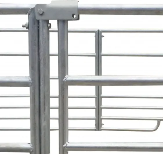 51guBR ZhmL._AC_SL1024_