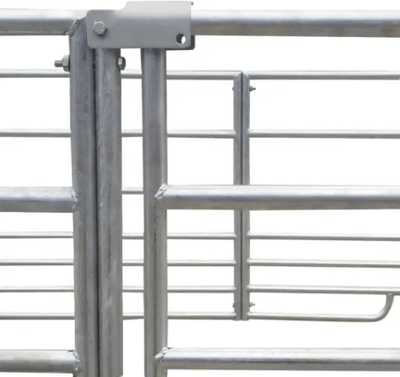 51LteE0lY8L._AC_SL1024_