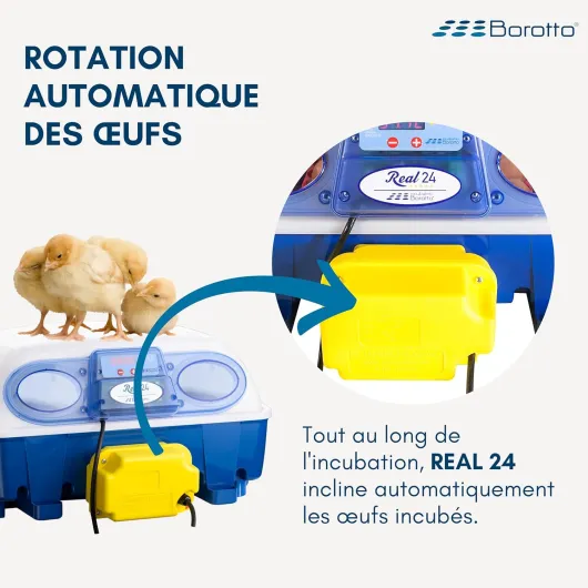 81cRNQCAXOL._SL1500_