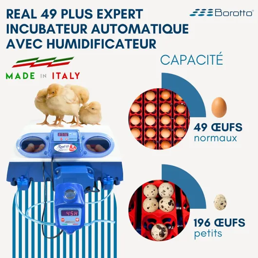 Real 49 Plus Expert - Couveuse Oeuf Automatique Professionnel 49 Oeufs ou 146 Petits avec Retourneur Automatique, Système Antibactérien et Humidificateur Automatique Sirio - Made in Italy Grise