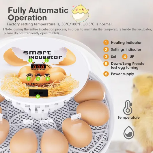 71yayZjXeHL._AC_SL1500_