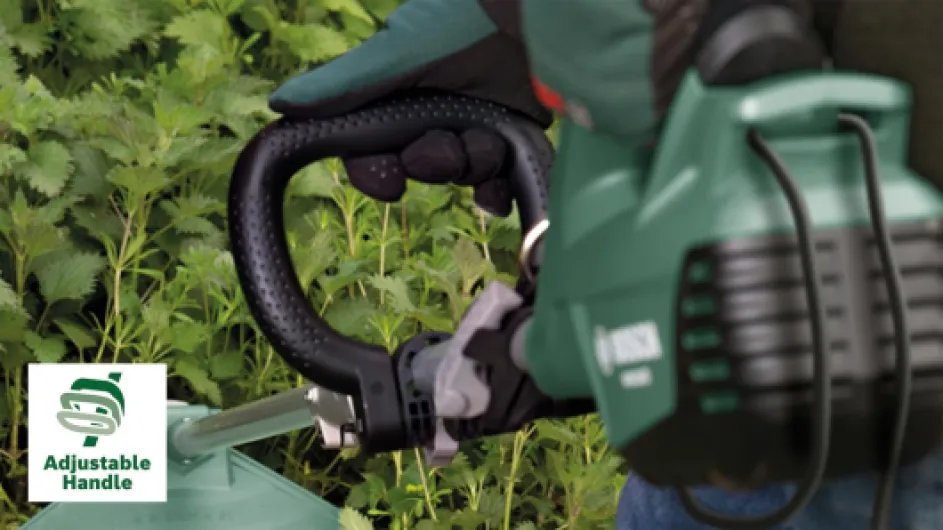 61U iXE9eGL._AC_SL1500_