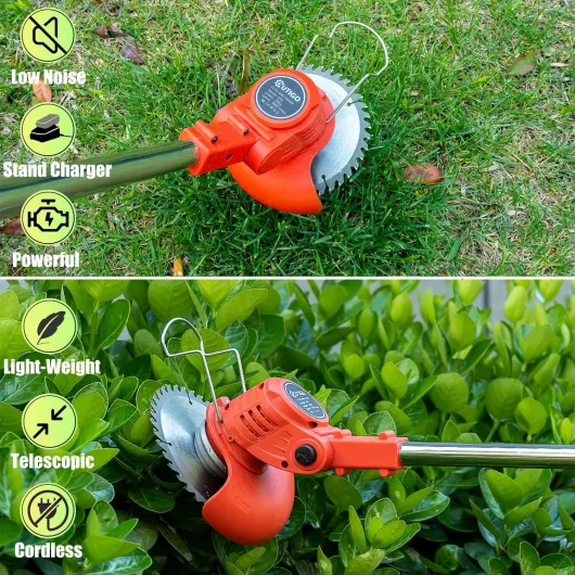 91Ewwvq9xOL._AC_SL1500_