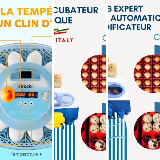 Notre sélection des 5 meilleurs couveuses à œufs (2026)