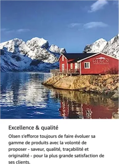 81c7Ypn qXL._AC_SL1500_