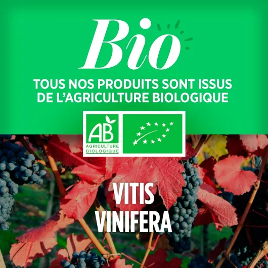 71rgwqUg5wL._AC_SL1500_