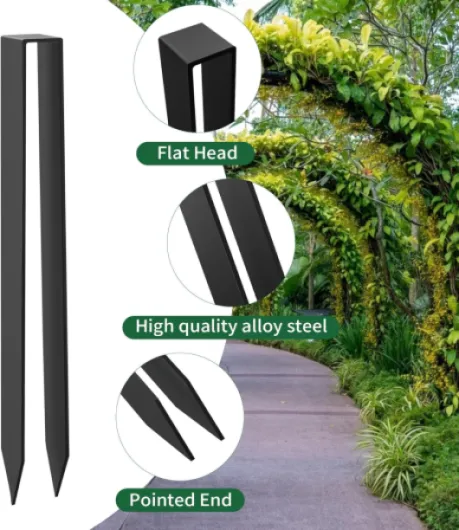 81Zf2xT9g9L._AC_SL1500_