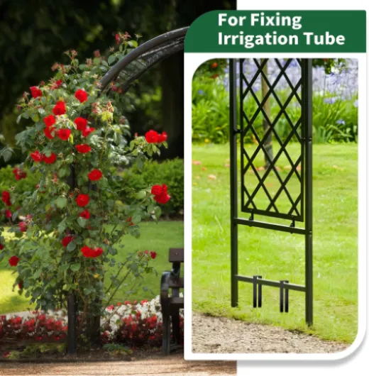 81h rdrVLZL._AC_SL1500_