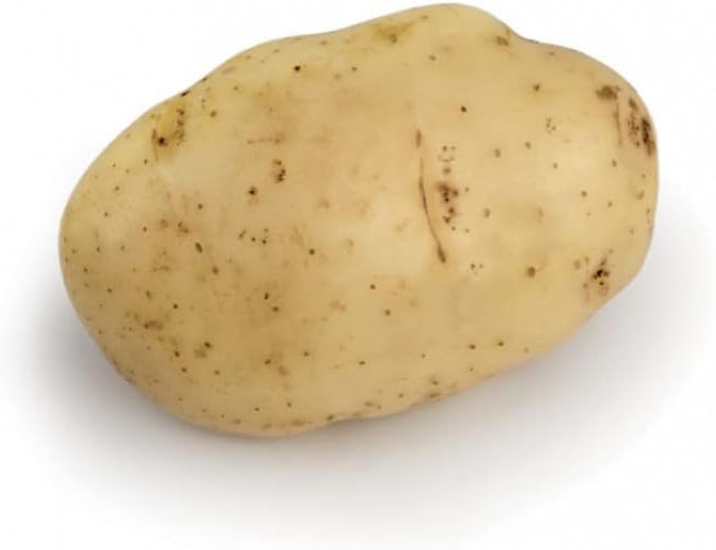 Bintje 100 Plants de pomme de terre