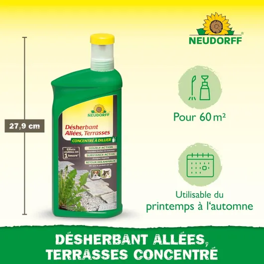 81U5bjlJvpL._AC_SL1500_