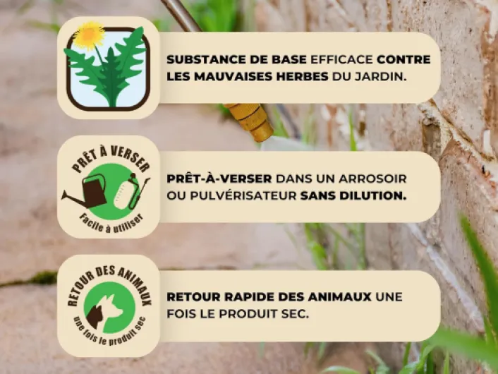 71j7VMY3v-L._SL1500_