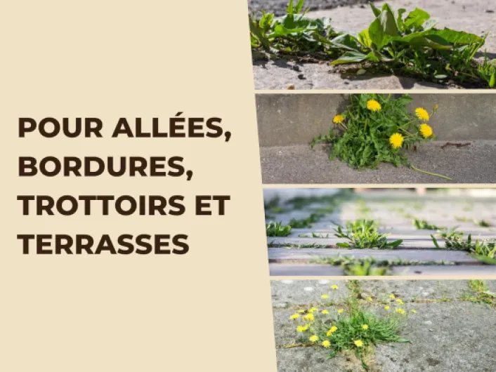 81qM2NhdHRL._SL1500_