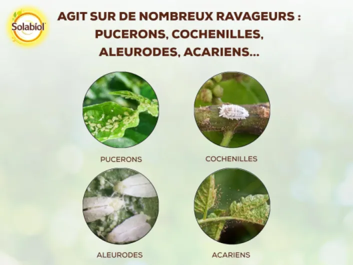 71iT05m2vwL._SL1500_