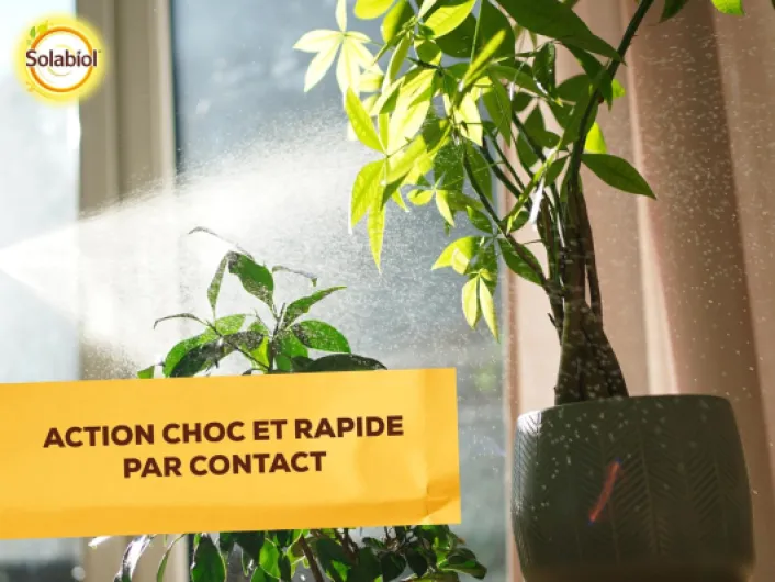 71Nnm-IaEpL._SL1500_