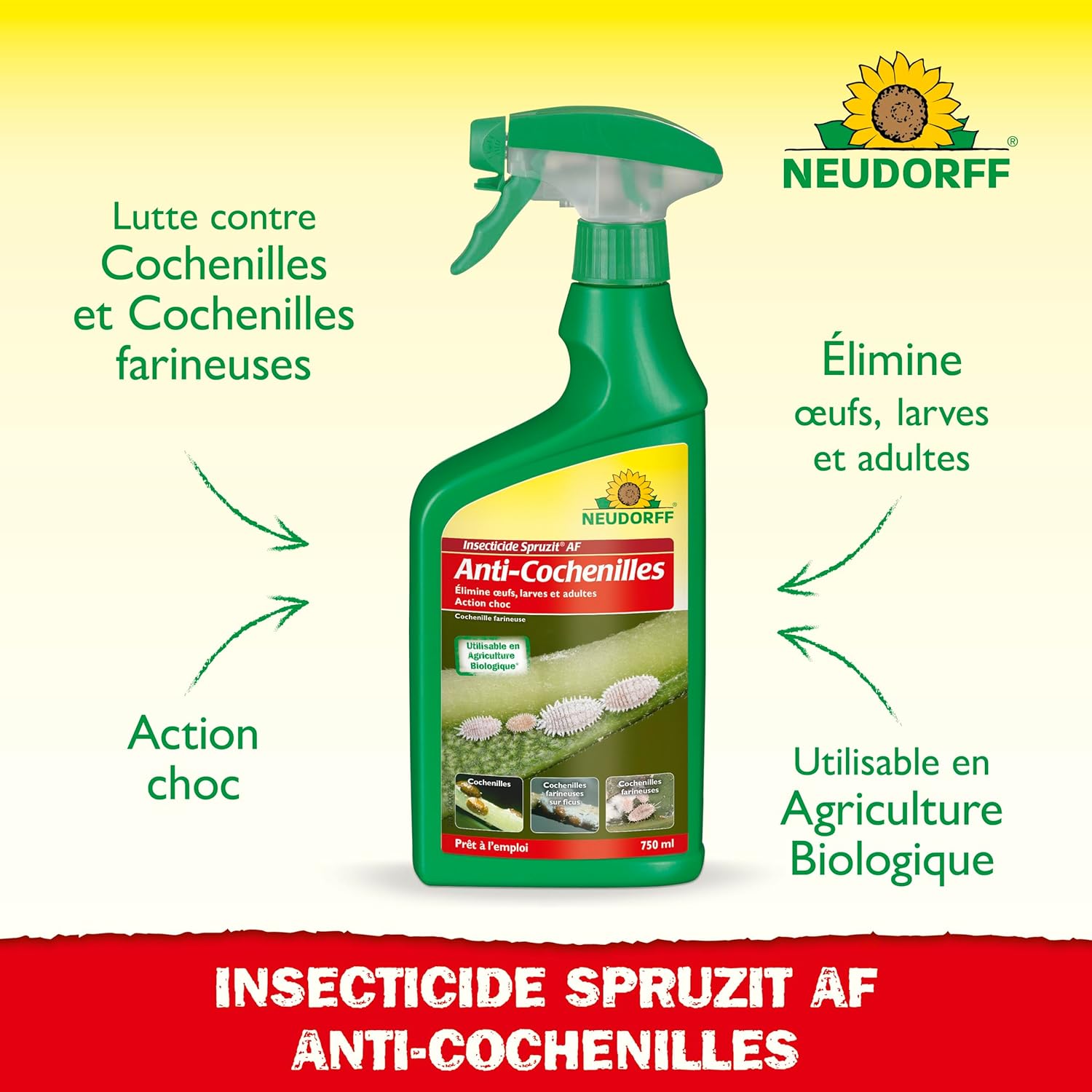 Neudorff Insecticide Spruzit Anti cochenille AF - Traite les cochenilles et les pucerons sur les plantes ornementales et les fleurs, spray prêt à l'emploi à action rapide, 750 ml
