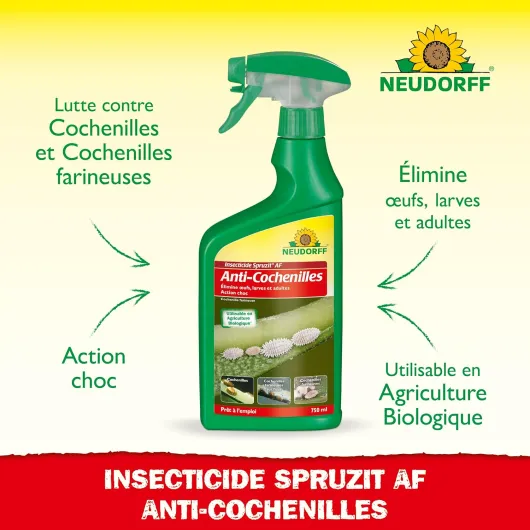 Neudorff Insecticide Spruzit Anti cochenille AF - Traite les cochenilles et les pucerons sur les plantes ornementales et les fleurs, spray prêt à l'emploi à action rapide, 750 ml