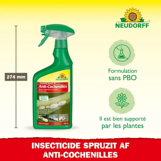 81ZntXvI7LL._SL1500_