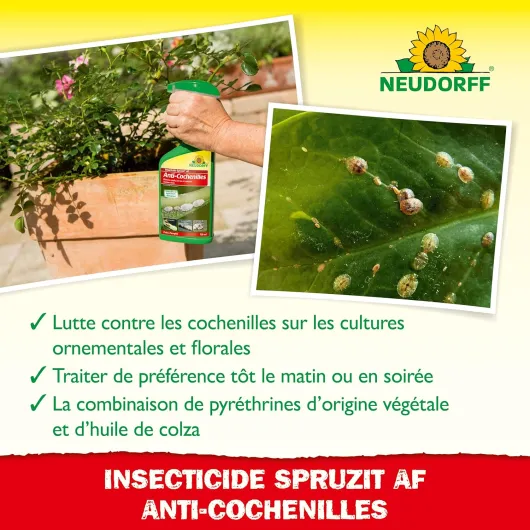 81uaVlA4guL._SL1500_